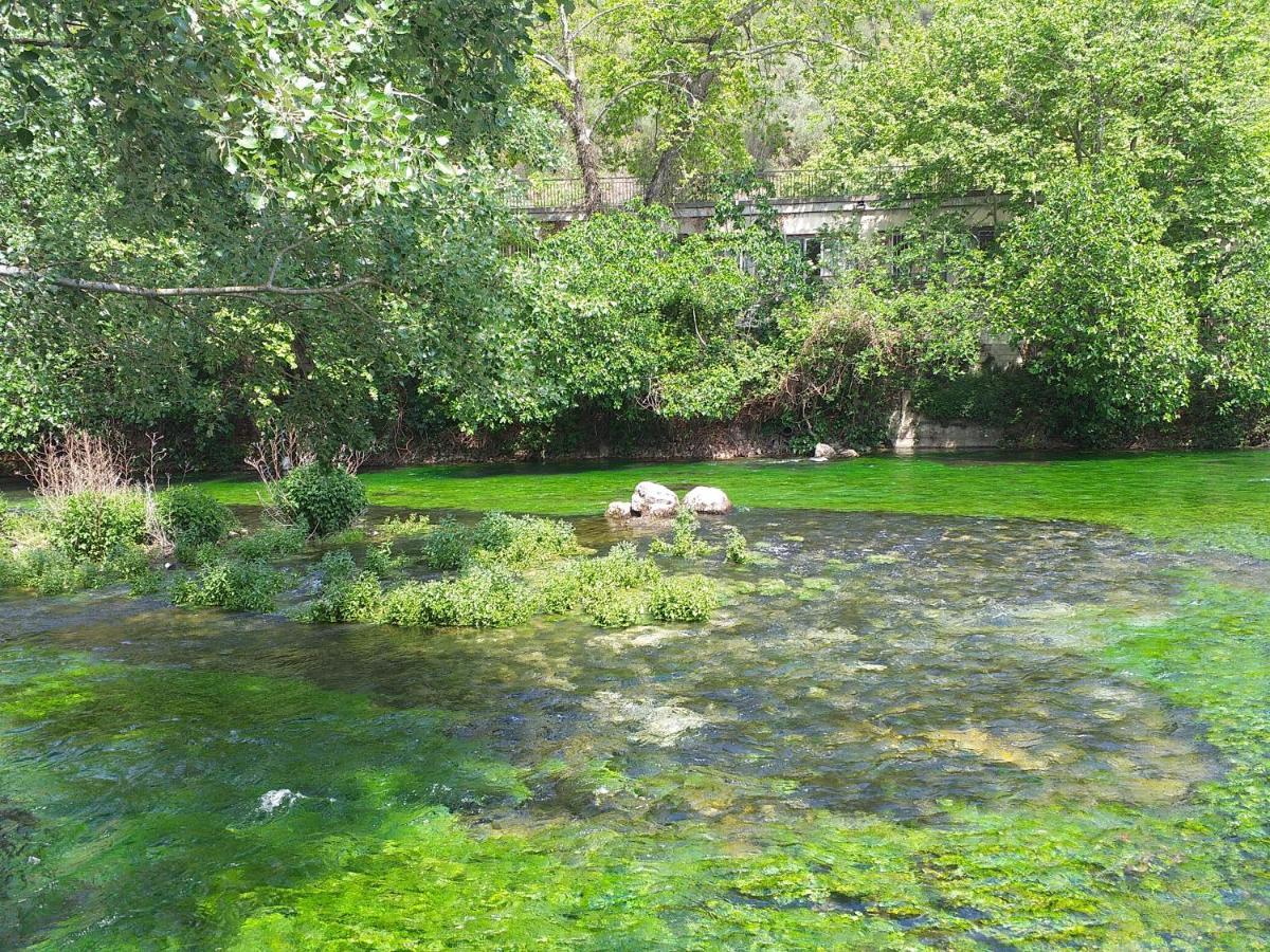 Maison Au Coeur De Fontaine De Vaucluse, Nichee Sur Le Rocher Et Surplombant La Sorgue Kültér fotó